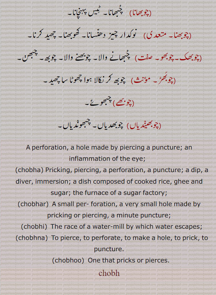  ,ਚੋਭਵਾਂ, ਚੋਭੜ, ਚੋਭਾ,ਚੋਭਾ,chob,chobh, ਚੋਭ,chobha, ਚੋਭਾ, chob,  , choba,  