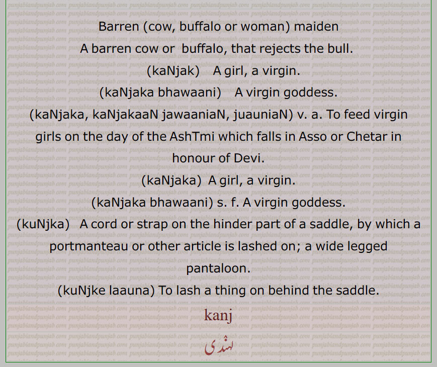  Barren, kaNjak, a virgin, kaNjaka bhawaani,kaNjaka, kaNjakaaN jawaaniaN, juauniaN, kaNjaka, kaNjaka bhawaani, kuNjka, kuNjke laauna, kanj, ਕੰਜ, kaNjak,  ਕੰਜਕ, kaNjaka, ਕੰਜਕਾ, kuNjka,  ਕੁੰਜਕਾ, 