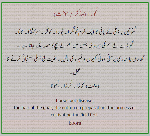کورا,koora,کرم کونگرا,سرکنڈا,کانا,سم کے نیچے,جھوٹا,کرڑا