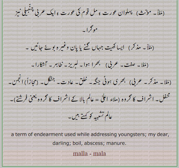  malla mala abscess darling Meaning In Urdu meaning 