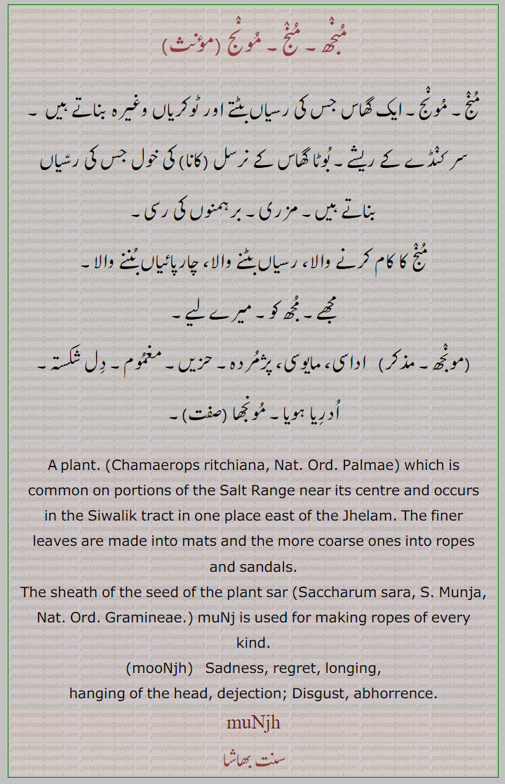 ,مایوسی,,مزری,مجھے,مجھ,سرکنڈے