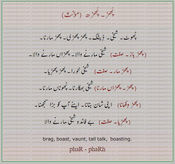 پھڑھ, پھڑباز, پھڑ,پھڑ دکھاوا,شیخی خورا,پھوٹاں مارنا,بے فائدہ,پھڑ پھڑی,پھڑاں ماررنا,ڈینگ,phaRna, ਫੜਨਾ,