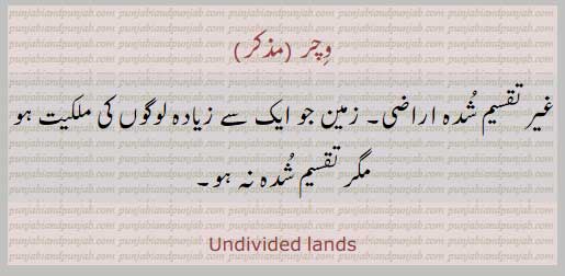 vichar,وچر,ਵਿਚਰ,غیر تقسیم شدہ,