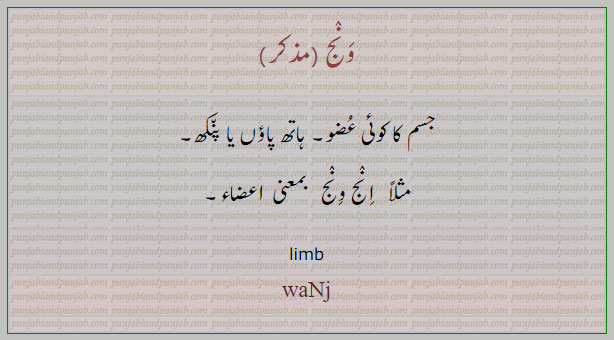 ونج, پنکھ , waNj,ਵਨਜ,ਵੰਝ,جسم کا کوئی عضو,انج ونج,