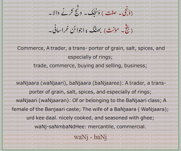 ونج, ونجھ۔ ,banj,waNj,ਵਨਜ,ਵੰਝ,ونجی,ونجک,بنج,بھنگ