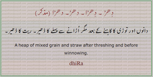 دھڑ, dhaRa,ਧੜਾ, ਧੜ