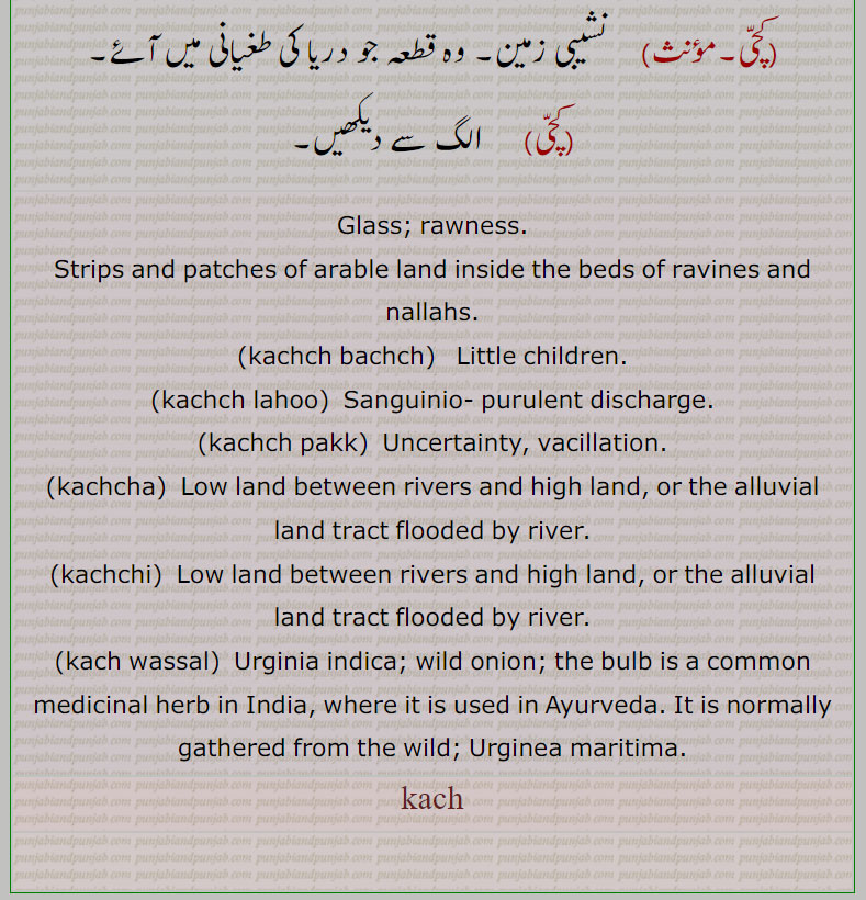 کچ, کچ بچ, کچ بھنا, کچ پاچا,کچ پچ, کچ پک,کچ پکا,کچ پنا, کچ پیندن,کچ پیندی,کچ پیندیا, کچ تل ,کچ خام,کچ درڑ,کچ دلی,کچ دھات,کچ دھاگا,کچرا,کچکڑا,کچ کرنا,کچرادھ, کچ گھرڑ,کچرادھا,کچروٹ,کچری,کچڑا۔کچڑا,کچ سچ,کچ سچ کڈھنا,کچ کچ,کچکرا,کچ کرنا,کچ کرور,کچکڑا,کچ کوڈی,کچ کیلا,کچ گھرڑ ,کچ گھولنا ,کچ لوہا,کچ لہو,کچ مارنا,کچ مچ کڈھنا,کچ نا کچ,کچ نا کچ,کچ نِیلا,کچ وسل,کچا, کچی, Glass, rawness,kachch bachch,kachch lahoo,kachch pakk,kachcha,kachchi,kach wassal,kach, ਕਚ,kachch, ਕੱਚ ,
