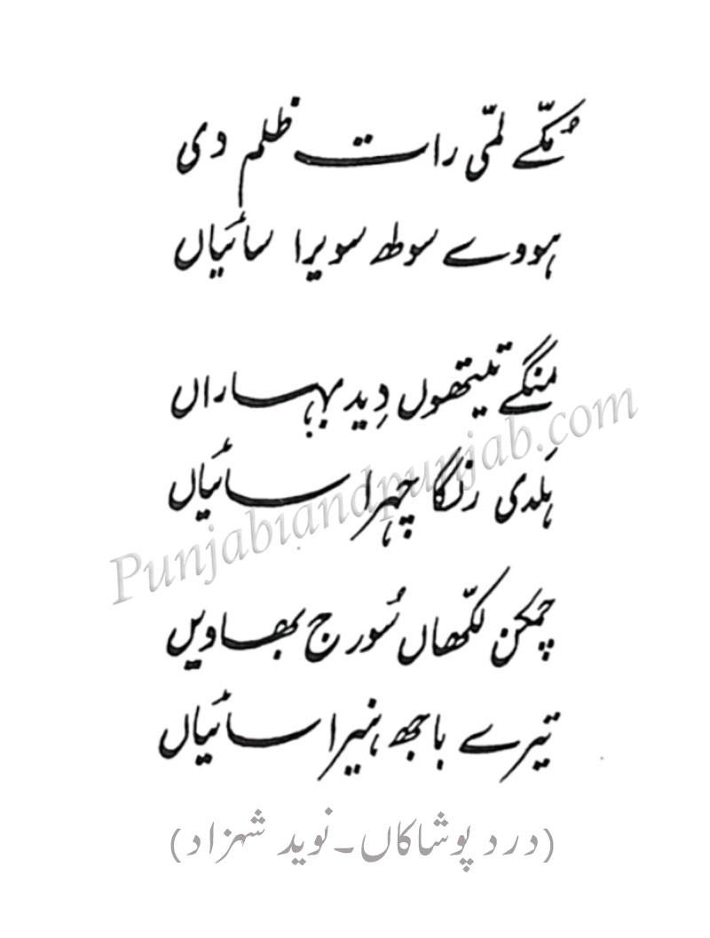 مُکّے لمّی رات ظلم دی