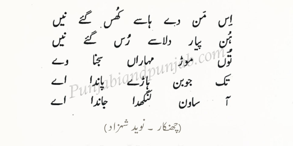 Naveed Shahzad ,پنجابی شاعری,Punjabi Poetry, 