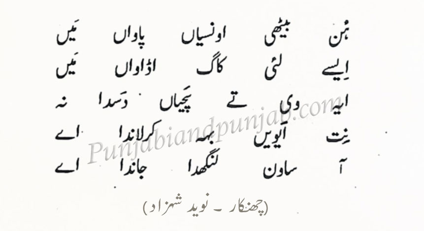  پنجابی شاعری,Punjabi Poetry,Naveed Shahzad 