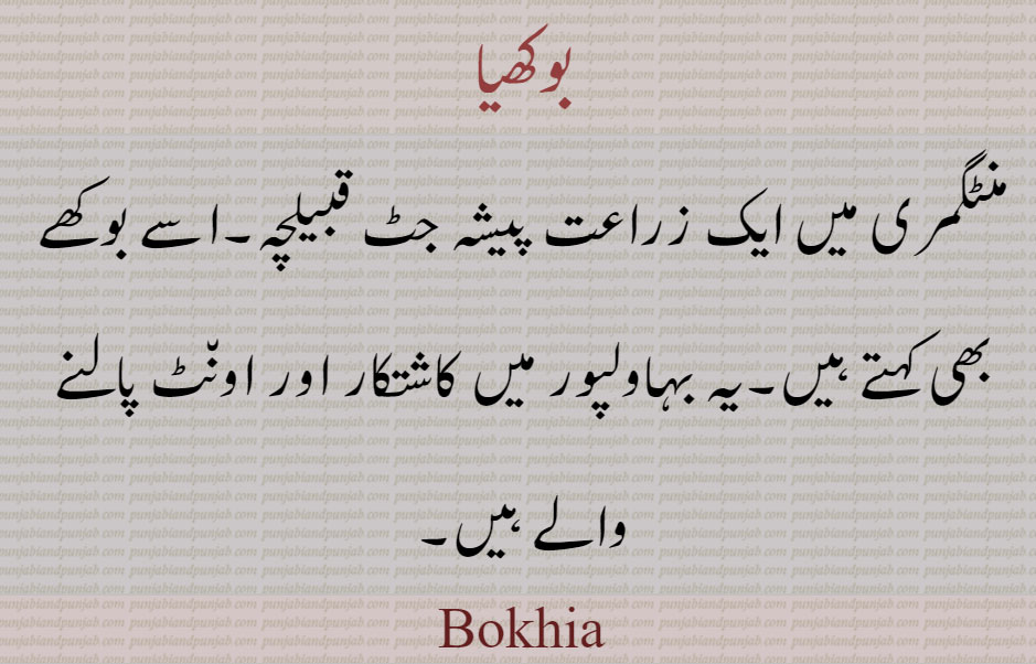 بوکھیا ,Bokhia,ਬੋਖਿਆ ,caste