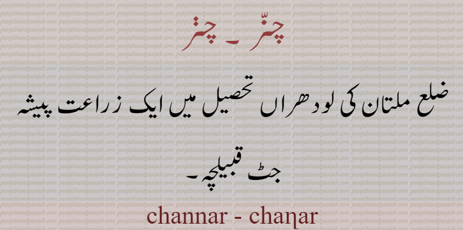  چنّر ,channar,ਚਨਰ,ਚਣਰ,caste