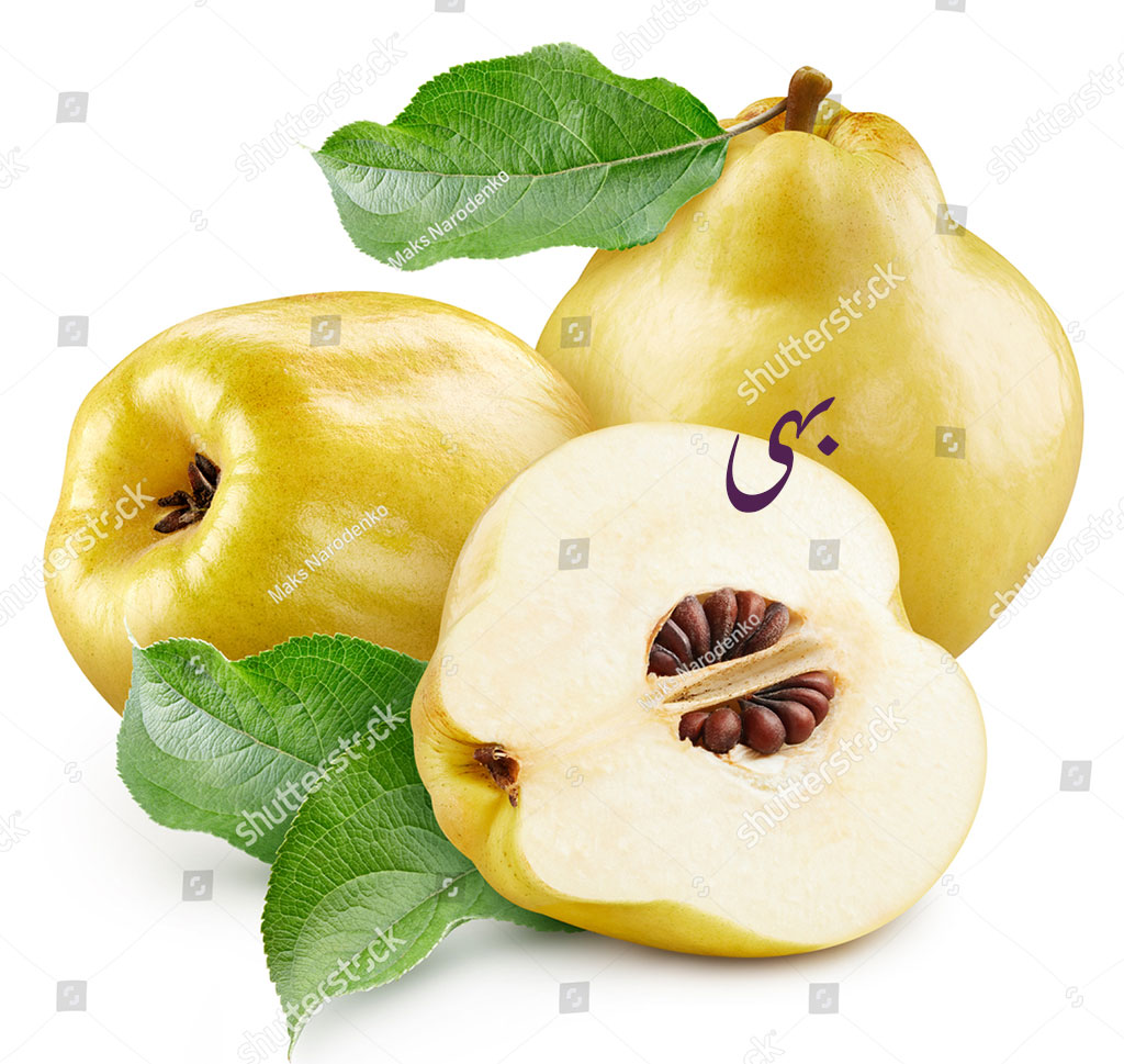 quince ,Cydenia vulgaris,bih ,bahi,بہی fruit, پھل