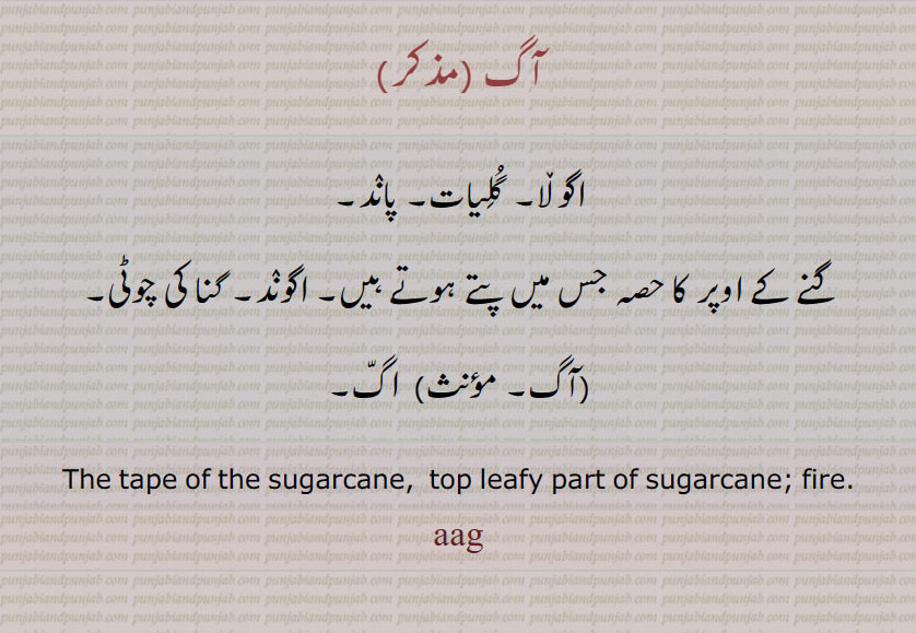 آگ,اگ،اگ ,aag ,ਆਗ,