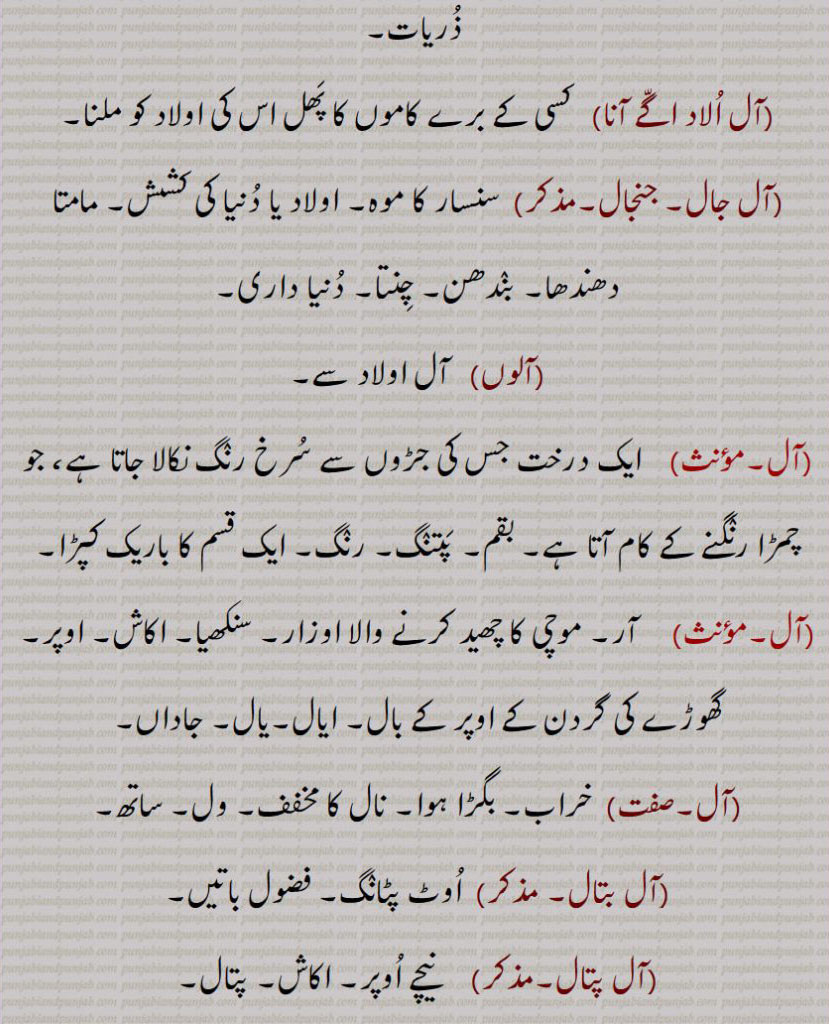 آل,aal,ਆਲ ,aal-ulaad, ਆਲ ਉਲਾਦ,all jaal,ਆਲ ਜਾਲ ,اولاد 
aal ulaad,, all jaal,, آل دوال,,آل پتال بولنا ,, آل پتال,  آل مال, آل و آل ,آلوں, آل جال , آل اولاد اگے آنا  , آل اولاد,