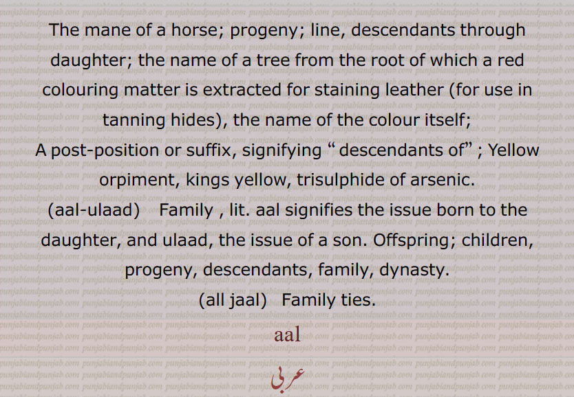 آل,aal,ਆਲ ,aal-ulaad, ਆਲ ਉਲਾਦ,all jaal,ਆਲ ਜਾਲ ,اولاد 
aal ulaad,, all jaal,, آل دوال,,آل پتال بولنا ,, آل پتال,  آل مال, آل و آل ,آلوں, آل جال , آل اولاد اگے آنا  , آل اولاد,