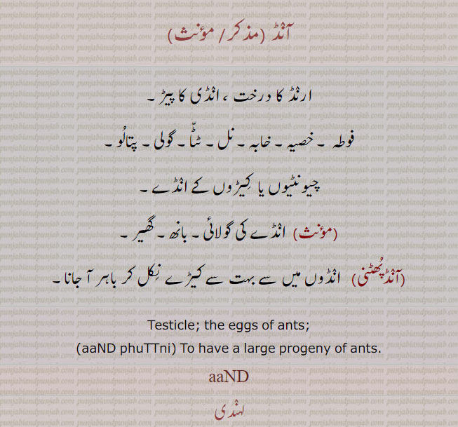 آنڈ ,آنڈ پھٹنی,aanD,testicle, ਆਂਡ,