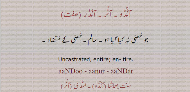 آنڈو۔ آنر۔ آنڈر,aanDoo,  ਆਂਡੂ, anDar, ਆਂਡਰ  , خصی نہ ہو
