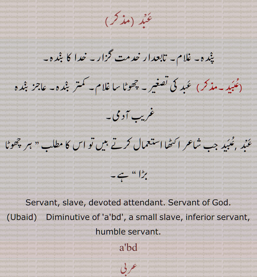 عَبد , عُبَید , Ubaid, a'bd, abd, عبد, عبید ,ਅਬਦ, ਉਬੈਦ, 