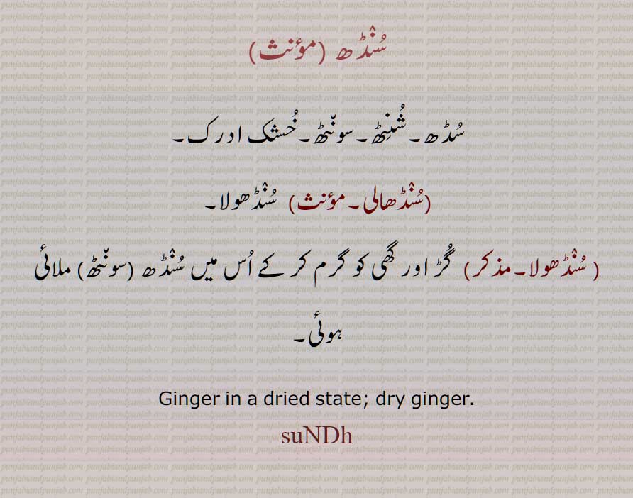  ادرک , ادکر ,سونٹھ,ادھرک,ਅਦਰਕ,ਸੋਂਥ,ginger, adkar,adhrak ਅਦਰਕ, سنڈھ , سڈھ,شنٹھ,سونٹھ,,خشک ادرک,  ,سنڈھالی, سنڈھولا,Ginger in a dried state; dry ginger,sudh, sundh, ਸੁੰਢ,