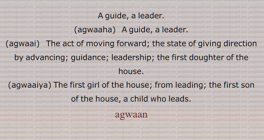 اگوان , آگے چلنے والا, آگو,, سربراہ, سردار, لیڈر,نیتا, راہ دکھانے والا, اگوال,رہبر,پیشرو,موہری,استقبال کرنے والا,جی آیاں نوں کہنے والا, اگوانی, اگواہا, اگووائی,اگوایا, A guide, a leader, agwaaha, agwaai, gwaaiya, agwaan, agwaha, ਅਗਵਾਹਾ,agwan,  ਅਗਵਾਨ, 