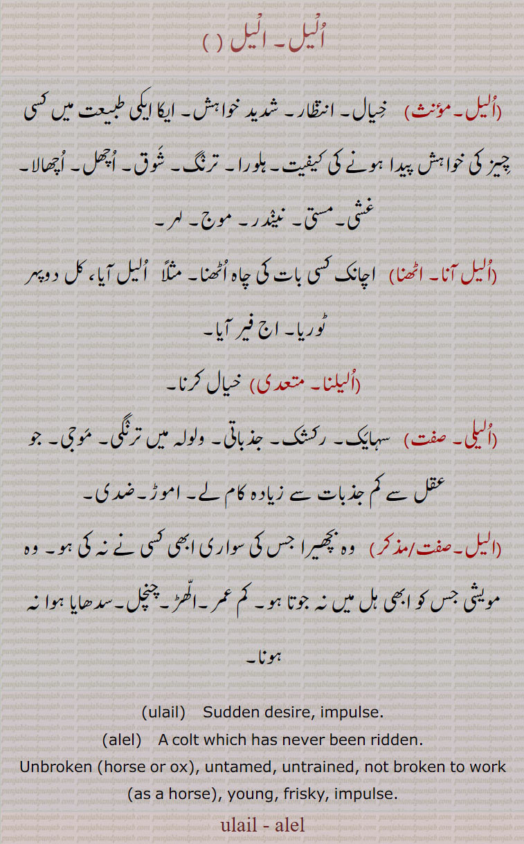 الیل,اولیل,ulail, alel, ,الیل آنا,الیل اٹھنا,الیلنا,الیلی ,اولیل آنا,اولیل اٹھنا,اولیلنا,اولیلی,ulail, alel,ਉਲੇਲ,ਅਲੇਲ