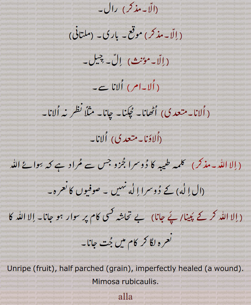 الا,,اَلّا,الّا پَھٹ,الّا زخم, الّا بول,الابہنا, الانا,الاؤنا, الّایا گلھایا,الّایا گلایا,الّایا بولیا,اُلانا,اُلاوَنا, اِلا اللّٰہ,ال اِلٰہ, اِلا اللّٰہ کر کے پَینا/ پَے جانا, ,alla,ਅੱਲਾ,Unripe, half parched, 