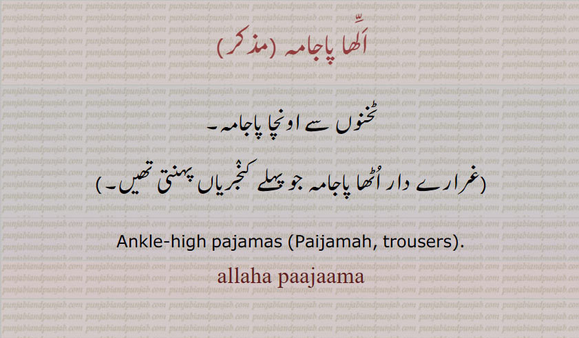 ਪੈਜਾਮਾ, ਪਜਾਮਾ, الھاپاجامہ ,پاجامہ ,اونچا پاجامہ,ٹخنوں سے اونچا,Ankle-high pajamas ,Paijamah, trousers,   Drawers, 