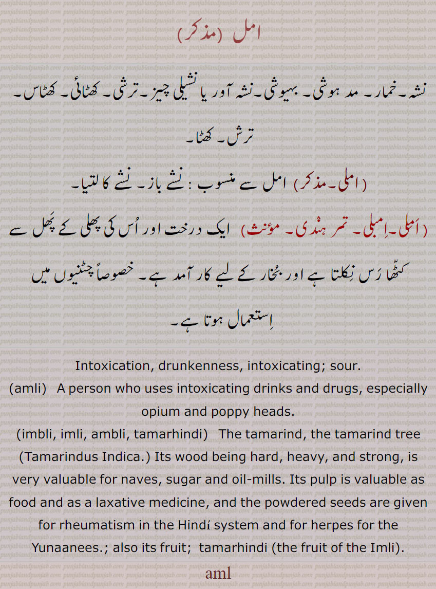 امل ,aml , amli,  ਅਮਲੀ,imbli, imli, ambli, tamarhindi,  ਅੰਬਲੀ, ਇਮਲੀ , ਤਮਰਹਿੰਦੀ ,ਅਮਲ