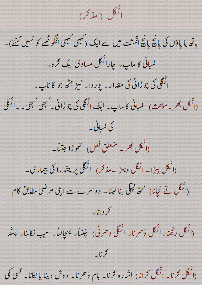 انگل,انگل بھر,انگل بیڑا, انگل ویہڑا,انگل تے نچانا,انگل رکھنا,انگل دھرنا, انگلی دھرنی,انگل کرنا, انگل کرانا,انگل لینا,انگلی لینا,انگل دینا,انگل دنداں وِچ دبنا,انگلی مونہہ وچ پانا,انگل نہ دکھنی,انگل نہ ہِلانا,انگِل نال انگوٹھا,انگلاں بھننا,انگلاں ہونا,انگلٹنا,انگِل مارن,انگلی,انگلی اٹھانا,انگلی پرسنگلی,انگلی پھڑنی,انگل پکڑنا,انگلی تے نچنا,انگلی چلانا, انکلی کرنا,انگلی دینا, انگِل ڈیون,انگلی لانا,انگل لاون ,انگلی لینی,انگلی نہ چکنا,انگلی وی نہ لانا, انگلیاں تے گنیا جانا, انگلیاں تے گنے جانا, انگلیاں تے گنن گوچرا ہونا,انگلیاں تے نچانا,انگل تے نچاون,,انگلی کٹا کے شہیداں وچ رکھنا, انگلیاں نوں لہو لا کے شہیداں وچ رکھنا,انگلٖیاں نوں لہو لا کے شہیداں وچ داخل ہونا, انگلیاں کٹا کے شہیداں وچ رلنا, انگلی کن وِچّ دیئی رکھنا, انگلیاں کناں وچ دینا,انگلیاں گھسنا,انگلیں ٹکن,انگلیں ڈیونا,angal,   انگل , اُنگلی,ਅੰਗੁਲ,Finger,ungal bhar,anguli, ungli,   ਅੰਗੁਲੀ, ਉਂਗਲ਼ੀ,ungli karni, anguli dharna,  ਉਂਗਲੀ ਕਰਨੀ , ਉਂਗਲੀ ਧਰਨੀ ,ungli deni, ਉਂਗਲੀ ਦੇਣੀ ,ungli na chukna,  ਉਂਗਲੀ ਨਾ ਚੁੱਕਣਾ ,ungli pharna,  ਉਂਗਲੀ ਫੜਨੀ,ungli munh wich pauni,  ਉਂਗਲੀ ਮੂੰਹ  ਵਿਚ  ਪਾਉਣੀ ,ungli laini, ਉਂਗਲੀ ਲੈਣੀ,anguli te nachauna,  ਉਂਗਲ਼ੀਆਂ ਤੇ ਨਚਾਉਣਾ,anguli uthauna,aNgli, unggal  ,ਉਂਗਲ਼  ,ਉਂਗਲ,ਉਂਗੁਲ ,unggul ,ਉਂਗਲੀ ,unggali ,ਉਂਗੁਲੀ ungguli,   انگل , ਅੰਗੁਲ, shahmukhi to urdu, English, meaning in Urdu,meaning in English, Dictionary,Punjabi To Urdu Translation,Shahmukhi Punjabi, شاہ مکھی پنجابی لغت, ਪੰਜਾਬੀ,">AṆGGULÍ، ਅੰਗੁਲੀ
ਅੰਗੁਲੀ angguli
