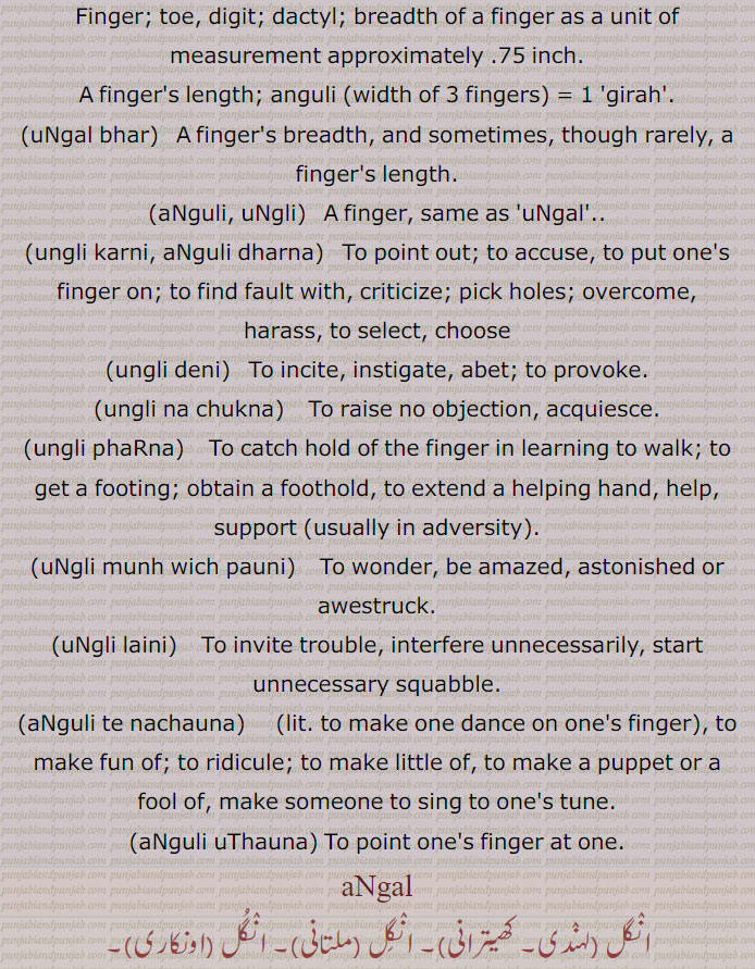 انگل,انگل بھر,انگل بیڑا, انگل ویہڑا,انگل تے نچانا,انگل رکھنا,انگل دھرنا, انگلی دھرنی,انگل کرنا, انگل کرانا,انگل لینا,انگلی لینا,انگل دینا,انگل دنداں وِچ دبنا,انگلی مونہہ وچ پانا,انگل نہ دکھنی,انگل نہ ہِلانا,انگِل نال انگوٹھا,انگلاں بھننا,انگلاں ہونا,انگلٹنا,انگِل مارن,انگلی,انگلی اٹھانا,انگلی پرسنگلی,انگلی پھڑنی,انگل پکڑنا,انگلی تے نچنا,انگلی چلانا, انکلی کرنا,انگلی دینا, انگِل ڈیون,انگلی لانا,انگل لاون ,انگلی لینی,انگلی نہ چکنا,انگلی وی نہ لانا, انگلیاں تے گنیا جانا, انگلیاں تے گنے جانا, انگلیاں تے گنن گوچرا ہونا,انگلیاں تے نچانا,انگل تے نچاون,,انگلی کٹا کے شہیداں وچ رکھنا, انگلیاں نوں لہو لا کے شہیداں وچ رکھنا,انگلٖیاں نوں لہو لا کے شہیداں وچ داخل ہونا, انگلیاں کٹا کے شہیداں وچ رلنا, انگلی کن وِچّ دیئی رکھنا, انگلیاں کناں وچ دینا,انگلیاں گھسنا,انگلیں ٹکن,انگلیں ڈیونا,angal,   انگل , اُنگلی,ਅੰਗੁਲ,Finger,ungal bhar,anguli, ungli,   ਅੰਗੁਲੀ, ਉਂਗਲ਼ੀ,ungli karni, anguli dharna,  ਉਂਗਲੀ ਕਰਨੀ , ਉਂਗਲੀ ਧਰਨੀ ,ungli deni, ਉਂਗਲੀ ਦੇਣੀ ,ungli na chukna,  ਉਂਗਲੀ ਨਾ ਚੁੱਕਣਾ ,ungli pharna,  ਉਂਗਲੀ ਫੜਨੀ,ungli munh wich pauni,  ਉਂਗਲੀ ਮੂੰਹ  ਵਿਚ  ਪਾਉਣੀ ,ungli laini, ਉਂਗਲੀ ਲੈਣੀ,anguli te nachauna,  ਉਂਗਲ਼ੀਆਂ ਤੇ ਨਚਾਉਣਾ,anguli uthauna,aNgli, unggal  ,ਉਂਗਲ਼  ,ਉਂਗਲ,ਉਂਗੁਲ ,unggul ,ਉਂਗਲੀ ,unggali ,ਉਂਗੁਲੀ ungguli,   انگل , ਅੰਗੁਲ, shahmukhi to urdu, English, meaning in Urdu,meaning in English, Dictionary,Punjabi To Urdu Translation,Shahmukhi Punjabi, شاہ مکھی پنجابی لغت, ਪੰਜਾਬੀ,">AṆGGULÍ، ਅੰਗੁਲੀ
ਅੰਗੁਲੀ angguli