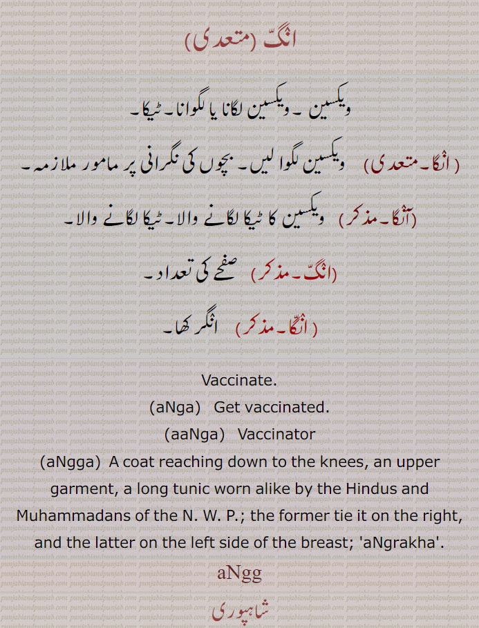 انگ, angg, ਅੰਗੱ, angga,  ਅੰਗੱ  , anga, ਅੰਗਾੱ, aaNga,ਅੰਗ,ਅੰਗਾ ,,انگا،آنگا,, 