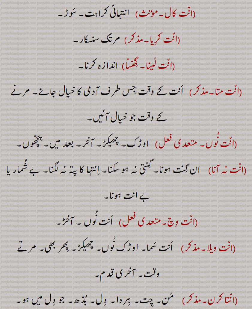 انت ,ant, ਅੰਤ,ਅਨਤ,انت,ان٘ت دا,ان٘ت شُمار,ان٘ت کال,ان٘ت کرنا,ان٘ت کال,ان٘ت کرِیا,ان٘ت لَینا,گِھننا,ان٘ت متا,ان٘ت نُوں,ان٘ت نہ آنا,ان٘ت وِچ,ان٘ت ویلا,ان٘تا کرن,ان٘تلا,ان٘تاں چانِیاں,ان٘تاں دا,ان٘تی بِیڑا,ان٘تی جوآ/ جوگا, ant kaaal or samen or wele, ant noon or vichch, ant shumaar, ant samaan ant caal, ਅੰਤ ਸਮਾਂ ਅੰਤ ਕਾਲ , ant karna,  ਅੰਤ ਕਰਨਾ, ant caal, ਅੰਤਕਾਲ, ant da, ਅੰਤ ਦਾ  extreme, antla, ਅੰਤਲਾ,  Last, final, end, concluding, aNtakaran,  ਅੰਤਾਕਰਨ , conscience,  ਅੰਤ, ant, ਅਨਤ,, 