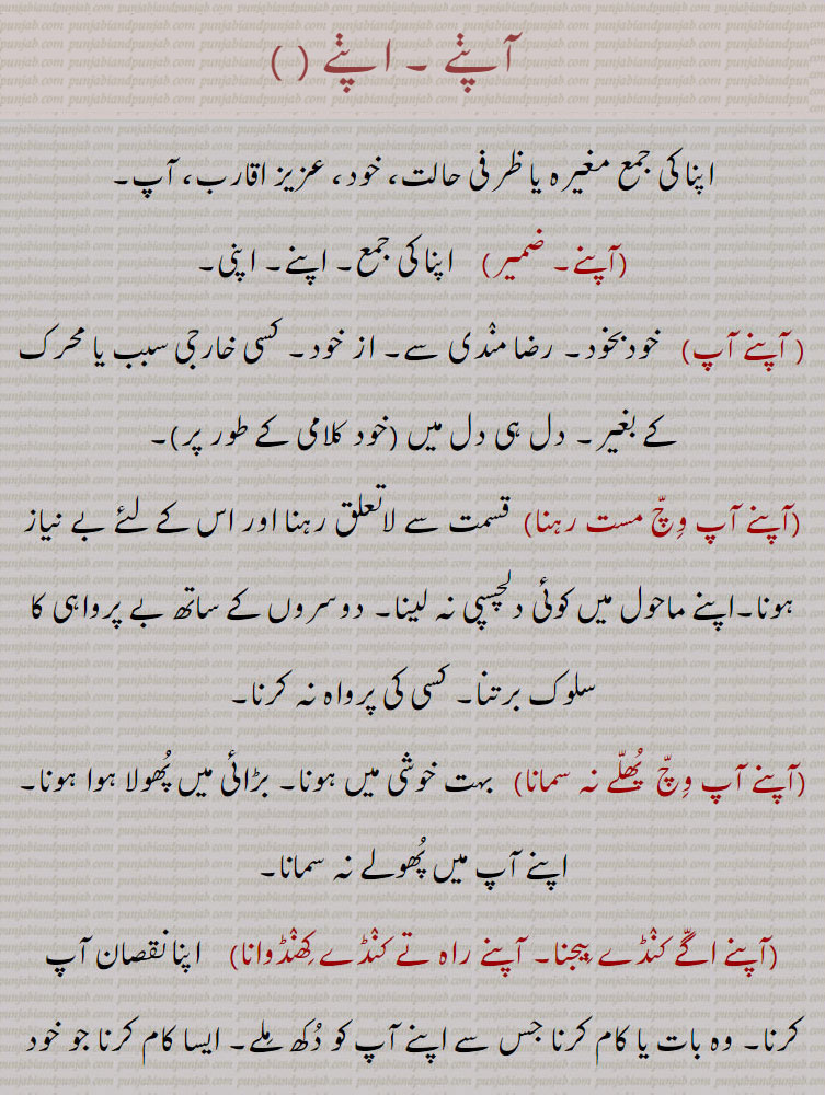 apne agge kande beejna,apne aap vich mast hona,apne karke,apne paireeN kuhaaRi maarni , kahi maarni,apni walloN,apne walloN sabh kujh karna, waah launa, ،آپنے،آپنے آپ،آپنے آپ وچ مست رہنا،آپنے آپ وچ  پھلے نہ سمانا،آپنے اگے کنڈے بیجنا، آپنے راہ تے کنڈے کھنڈوانا،آپنے ہی بھار دبی جانا،آپنے پیراں تے کہاڑی، کہی مارنا،آپنےپیریں کہاڑا مارنا،آپنے پیراں تے آپ کھلونا، آپنے پیریں کھلونا، پنے پیراں تے کھڑے ہونا،آپنے جائے آپ سنبھالن،آپنے گریبان وچ منہ پا کے دیکھنا،آپنے منہ ، مونہوں میاں مٹھو بننا،آپنے ولوں، آپنے ولوں سب کجھ کرنا۔ آپنے ولوں واہ لاڽا،آپنے ہاں تے پِٹنا،
،آپنے آپنے   ,    ਆਪਣੇ, ਅਪਣੇ, aapne