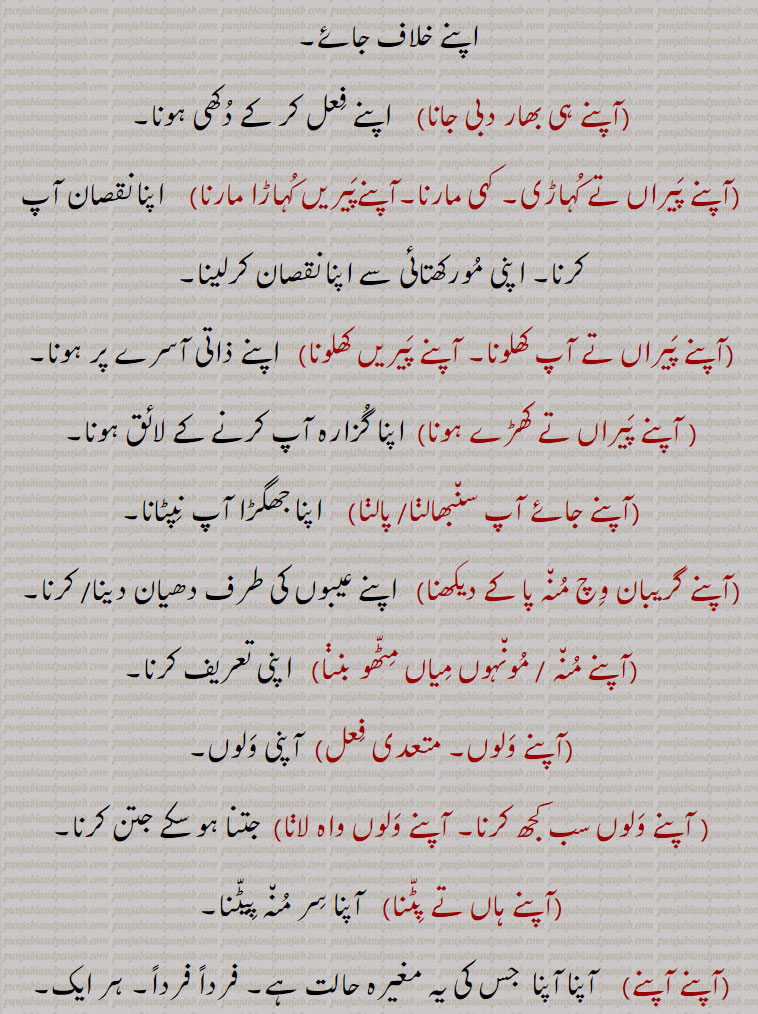 apne agge kande beejna,apne aap vich mast hona,apne karke,apne paireeN kuhaaRi maarni , kahi maarni,apni walloN,apne walloN sabh kujh karna, waah launa, ،آپنے،آپنے آپ،آپنے آپ وچ مست رہنا،آپنے آپ وچ  پھلے نہ سمانا،آپنے اگے کنڈے بیجنا، آپنے راہ تے کنڈے کھنڈوانا،آپنے ہی بھار دبی جانا،آپنے پیراں تے کہاڑی، کہی مارنا،آپنےپیریں کہاڑا مارنا،آپنے پیراں تے آپ کھلونا، آپنے پیریں کھلونا، پنے پیراں تے کھڑے ہونا،آپنے جائے آپ سنبھالن،آپنے گریبان وچ منہ پا کے دیکھنا،آپنے منہ ، مونہوں میاں مٹھو بننا،آپنے ولوں، آپنے ولوں سب کجھ کرنا۔ آپنے ولوں واہ لاڽا،آپنے ہاں تے پِٹنا،
،آپنے آپنے   ,    ਆਪਣੇ, ਅਪਣੇ, aapne