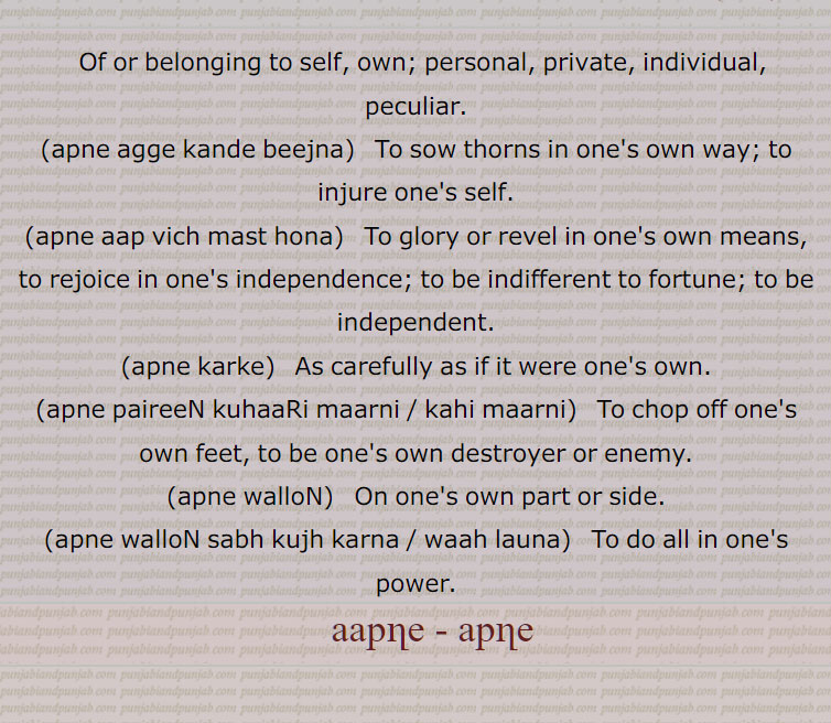 apne agge kande beejna,apne aap vich mast hona,apne karke,apne paireeN kuhaaRi maarni , kahi maarni,apni walloN,apne walloN sabh kujh karna, waah launa, ،آپنے،آپنے آپ،آپنے آپ وچ مست رہنا،آپنے آپ وچ  پھلے نہ سمانا،آپنے اگے کنڈے بیجنا، آپنے راہ تے کنڈے کھنڈوانا،آپنے ہی بھار دبی جانا،آپنے پیراں تے کہاڑی، کہی مارنا،آپنےپیریں کہاڑا مارنا،آپنے پیراں تے آپ کھلونا، آپنے پیریں کھلونا، پنے پیراں تے کھڑے ہونا،آپنے جائے آپ سنبھالن،آپنے گریبان وچ منہ پا کے دیکھنا،آپنے منہ ، مونہوں میاں مٹھو بننا،آپنے ولوں، آپنے ولوں سب کجھ کرنا۔ آپنے ولوں واہ لاڽا،آپنے ہاں تے پِٹنا،
،آپنے آپنے   ,    ਆਪਣੇ, ਅਪਣੇ, aapne