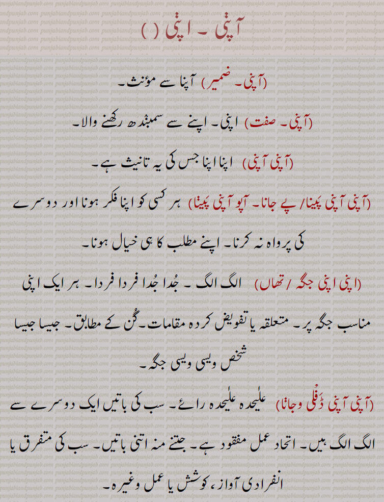    apni , aapni, ,apni jagah,thaaN,apni apni paini,apni Dhaai pa khichRi alagg pakauni,apni neeNd sauna,apni neeNd sauna ate apni neeNd uTThna, آپنی اکھ وچ لٹین نہ دسنا,آپنی اگ وچ بھجڽا,اپنی بکل وچ منہ پا کے دیکھنا,آپنی بھلی  نبھانا,آپنی بِین بجانا,آپنی پگ, پگڑی, داڑھی پرائے ہتھ دینا، آپنی پے جانا،آپنی پیڑھی ہیٹھ۔تھلے سوٹا پھیرنا,آپنی جے آپ بلانا,آپنی خوشی نال,آپنی ڈھائی اِٹ دی مسجد الگ بنانا,آپنی ڈھائی پا کھچڑی وکھری پکانا, الگ رنھڽا ,
آپنی سدھ آپ لینا, آپنی نیندے سونا تے آپنی نیندے اٹھنا ,آپنی گل رکھنا, آپنی بات کا پکا ہونا, آپنی مرضی,آپنی کرنا,آپنی کیتی آپ چانا, آپنی کرنی بھرنا, آپنا کیتا پانا,آپنی وَلوں،آپنی ہائی تے آنا،آپنی ہی مارے جانا ,آپنیاں تے آنا،آپنیاں تے جانا,آپنیاں وچ،آپنیاں وچ رلڽا،اپنی ولو،اپنی ڈھائی پا کھچری الگ پکاڽی،اپنی نیند سونا,اپنی نیند سونا تے اپنی نیند اٹھنا,اپنی اپنی پیڽی, اپنی آبرو اَپنے ہتھ،اپنی بیتی, اپنی پگڑی اَپنے ہتھ,اپنی آگ,اپنی تقدیِر نوں رونا,,  