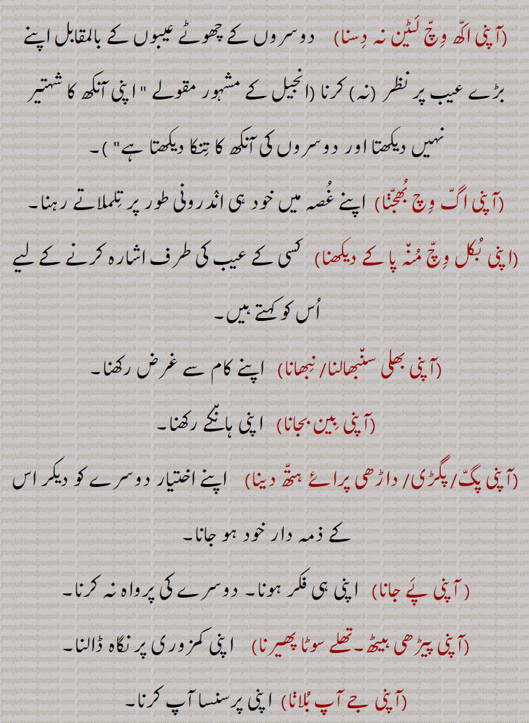    apni , aapni, ,apni jagah,thaaN,apni apni paini,apni Dhaai pa khichRi alagg pakauni,apni neeNd sauna,apni neeNd sauna ate apni neeNd uTThna, آپنی اکھ وچ لٹین نہ دسنا,آپنی اگ وچ بھجڽا,اپنی بکل وچ منہ پا کے دیکھنا,آپنی بھلی  نبھانا,آپنی بِین بجانا,آپنی پگ, پگڑی, داڑھی پرائے ہتھ دینا، آپنی پے جانا،آپنی پیڑھی ہیٹھ۔تھلے سوٹا پھیرنا,آپنی جے آپ بلانا,آپنی خوشی نال,آپنی ڈھائی اِٹ دی مسجد الگ بنانا,آپنی ڈھائی پا کھچڑی وکھری پکانا, الگ رنھڽا ,
آپنی سدھ آپ لینا, آپنی نیندے سونا تے آپنی نیندے اٹھنا ,آپنی گل رکھنا, آپنی بات کا پکا ہونا, آپنی مرضی,آپنی کرنا,آپنی کیتی آپ چانا, آپنی کرنی بھرنا, آپنا کیتا پانا,آپنی وَلوں،آپنی ہائی تے آنا،آپنی ہی مارے جانا ,آپنیاں تے آنا،آپنیاں تے جانا,آپنیاں وچ،آپنیاں وچ رلڽا،اپنی ولو،اپنی ڈھائی پا کھچری الگ پکاڽی،اپنی نیند سونا,اپنی نیند سونا تے اپنی نیند اٹھنا,اپنی اپنی پیڽی, اپنی آبرو اَپنے ہتھ،اپنی بیتی, اپنی پگڑی اَپنے ہتھ,اپنی آگ,اپنی تقدیِر نوں رونا,,  