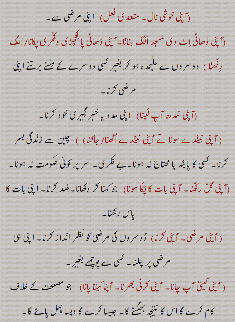    apni , aapni, ,apni jagah,thaaN,apni apni paini,apni Dhaai pa khichRi alagg pakauni,apni neeNd sauna,apni neeNd sauna ate apni neeNd uTThna, آپنی اکھ وچ لٹین نہ دسنا,آپنی اگ وچ بھجڽا,اپنی بکل وچ منہ پا کے دیکھنا,آپنی بھلی  نبھانا,آپنی بِین بجانا,آپنی پگ, پگڑی, داڑھی پرائے ہتھ دینا، آپنی پے جانا،آپنی پیڑھی ہیٹھ۔تھلے سوٹا پھیرنا,آپنی جے آپ بلانا,آپنی خوشی نال,آپنی ڈھائی اِٹ دی مسجد الگ بنانا,آپنی ڈھائی پا کھچڑی وکھری پکانا, الگ رنھڽا ,
آپنی سدھ آپ لینا, آپنی نیندے سونا تے آپنی نیندے اٹھنا ,آپنی گل رکھنا, آپنی بات کا پکا ہونا, آپنی مرضی,آپنی کرنا,آپنی کیتی آپ چانا, آپنی کرنی بھرنا, آپنا کیتا پانا,آپنی وَلوں،آپنی ہائی تے آنا،آپنی ہی مارے جانا ,آپنیاں تے آنا،آپنیاں تے جانا,آپنیاں وچ،آپنیاں وچ رلڽا،اپنی ولو،اپنی ڈھائی پا کھچری الگ پکاڽی،اپنی نیند سونا,اپنی نیند سونا تے اپنی نیند اٹھنا,اپنی اپنی پیڽی, اپنی آبرو اَپنے ہتھ،اپنی بیتی, اپنی پگڑی اَپنے ہتھ,اپنی آگ,اپنی تقدیِر نوں رونا,,  