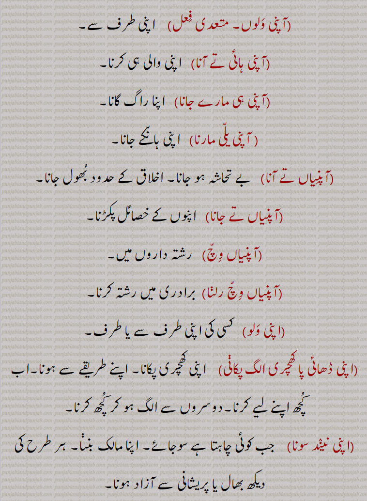    apni , aapni, ,apni jagah,thaaN,apni apni paini,apni Dhaai pa khichRi alagg pakauni,apni neeNd sauna,apni neeNd sauna ate apni neeNd uTThna, آپنی اکھ وچ لٹین نہ دسنا,آپنی اگ وچ بھجڽا,اپنی بکل وچ منہ پا کے دیکھنا,آپنی بھلی  نبھانا,آپنی بِین بجانا,آپنی پگ, پگڑی, داڑھی پرائے ہتھ دینا، آپنی پے جانا،آپنی پیڑھی ہیٹھ۔تھلے سوٹا پھیرنا,آپنی جے آپ بلانا,آپنی خوشی نال,آپنی ڈھائی اِٹ دی مسجد الگ بنانا,آپنی ڈھائی پا کھچڑی وکھری پکانا, الگ رنھڽا ,
آپنی سدھ آپ لینا, آپنی نیندے سونا تے آپنی نیندے اٹھنا ,آپنی گل رکھنا, آپنی بات کا پکا ہونا, آپنی مرضی,آپنی کرنا,آپنی کیتی آپ چانا, آپنی کرنی بھرنا, آپنا کیتا پانا,آپنی وَلوں،آپنی ہائی تے آنا،آپنی ہی مارے جانا ,آپنیاں تے آنا،آپنیاں تے جانا,آپنیاں وچ،آپنیاں وچ رلڽا،اپنی ولو،اپنی ڈھائی پا کھچری الگ پکاڽی،اپنی نیند سونا,اپنی نیند سونا تے اپنی نیند اٹھنا,اپنی اپنی پیڽی, اپنی آبرو اَپنے ہتھ،اپنی بیتی, اپنی پگڑی اَپنے ہتھ,اپنی آگ,اپنی تقدیِر نوں رونا,,  