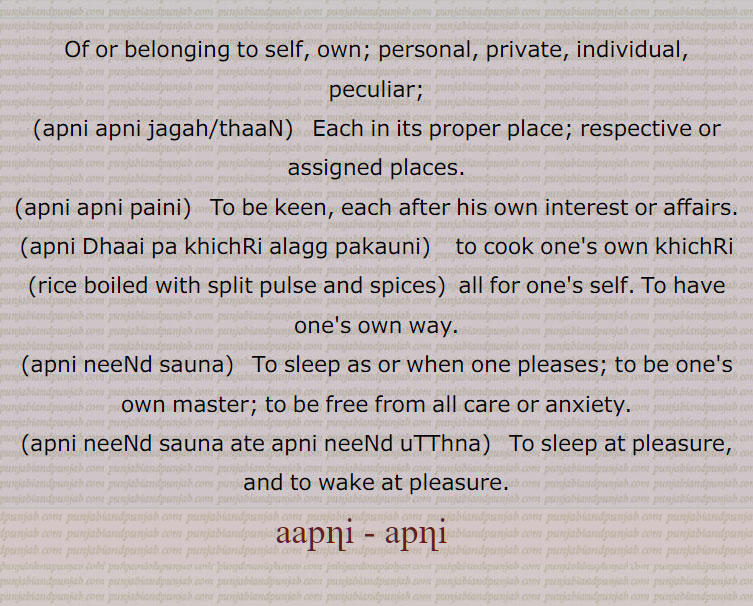    apni , aapni, ,apni jagah,thaaN,apni apni paini,apni Dhaai pa khichRi alagg pakauni,apni neeNd sauna,apni neeNd sauna ate apni neeNd uTThna, آپنی اکھ وچ لٹین نہ دسنا,آپنی اگ وچ بھجڽا,اپنی بکل وچ منہ پا کے دیکھنا,آپنی بھلی  نبھانا,آپنی بِین بجانا,آپنی پگ, پگڑی, داڑھی پرائے ہتھ دینا، آپنی پے جانا،آپنی پیڑھی ہیٹھ۔تھلے سوٹا پھیرنا,آپنی جے آپ بلانا,آپنی خوشی نال,آپنی ڈھائی اِٹ دی مسجد الگ بنانا,آپنی ڈھائی پا کھچڑی وکھری پکانا, الگ رنھڽا ,
آپنی سدھ آپ لینا, آپنی نیندے سونا تے آپنی نیندے اٹھنا ,آپنی گل رکھنا, آپنی بات کا پکا ہونا, آپنی مرضی,آپنی کرنا,آپنی کیتی آپ چانا, آپنی کرنی بھرنا, آپنا کیتا پانا,آپنی وَلوں،آپنی ہائی تے آنا،آپنی ہی مارے جانا ,آپنیاں تے آنا،آپنیاں تے جانا,آپنیاں وچ،آپنیاں وچ رلڽا،اپنی ولو،اپنی ڈھائی پا کھچری الگ پکاڽی،اپنی نیند سونا,اپنی نیند سونا تے اپنی نیند اٹھنا,اپنی اپنی پیڽی, اپنی آبرو اَپنے ہتھ،اپنی بیتی, اپنی پگڑی اَپنے ہتھ,اپنی آگ,اپنی تقدیِر نوں رونا,,  