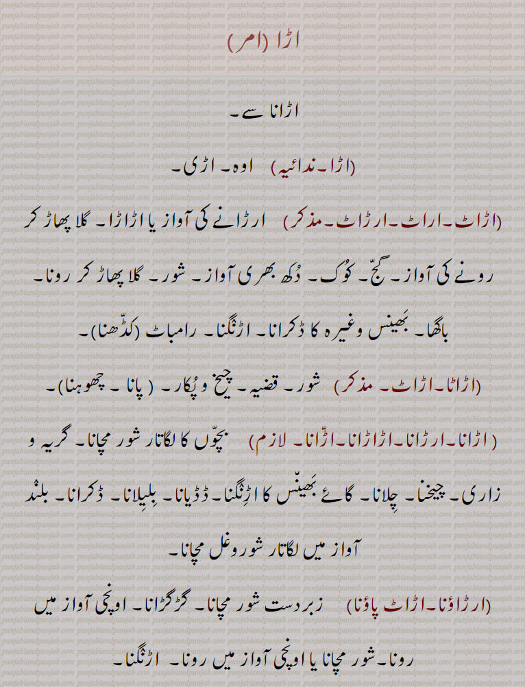  اڑا ,ara,ਅੜਾ,اڑا,,اڑانا  ,اڑاٹ,اراٹ,ارڑاٹ,اڑاٹا  ارڑانا,اڑاڑانا, لگاتار شور مچانا,اڑنگنا,ڈڈیانا, بلیلانا, ڈکرانا,ارڑاؤنا,اڑاٹ پاؤنا,اِڑا,اڑا,اڑی,اڑا, سدہ۔ اڑاند,اڑا پووی,اڑاپ,اڑاڑا,راڑا, راہڑا,araRaaR, ਅਰਡ਼ਾਟ,arrat,  ਅਰੜਾਟ,arrauna, ਅਰੜਾਉਣਾ, ਅਰਡ਼ਾਉਣਾ , ਅੜਾਟ ਪਾਉਣਾ,ara,ਅੜਾ, ਅਰਡ਼ਾਟ,, 