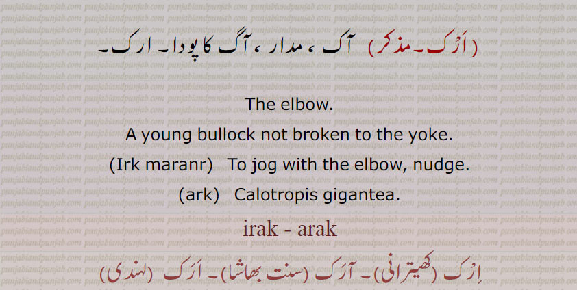   ارک, آرک , ارک مارنا, ارکاں تائیں, ارک پشپی ,اڑک, اڑکاں,اڑکنا,اڑک بڑکڑیاں,اڑکا  ,اڑکا پینا,اڑکا ڈاہنا, اڑکا پانا,اڑک مڑک,اڑکن مڑکن,aRikka, dhauna, aRikka pauna,aRak , aRik  , ਅੜਕ, ਅਡ਼ਿਕਾੱ, ਅੜਿੱਕਾ , ਅੜਚਨ,ਅਰਕ, irk maranr,ark,irk, , irak, arak, aarak