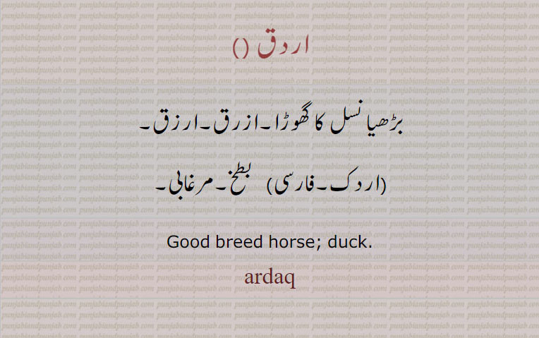 اردق, ardaq, ardak, اردک, 