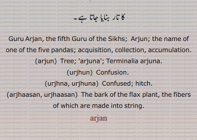  ارجن, arjan,ਅਰਜਨ, ਅਰਝਨ, ਅਰਝਨਾ, ਉਰਝਾਸਨ, ارجھن,الجھن,ارجھنا,ارجھاسن,,arjuna, Terminalia arjuna,urjhun,urjhna, urjhuna,arjhaasan,  