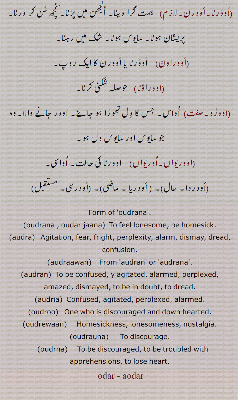   اودر,اودر, ادر,اودر جانا,اودر ونجنا,اودرا, الجھن,اودرانا, اداس,اودرنا, پریشان,اودراون,اودراؤنا,اودرو,مایوس,اودریواں,ادریواں,اودردا, اودریا ,اودرسی,,oudrana , odar jaana, ਓਦਰਨਾ, ਓਦਰ ਜਾਣਾ ,audra, confusion,audrawan,audran, confused,audria,odroo,   ਓਦਰੂ,udrewaan,  ਉਦਰੇਵਾਂ,oudrauna,   ਓਦਰਾਉਣਾ ,oudrna,   ਓਦਰਣਾ ,odar , audr , ਓਦਰ, ਓਦਰਨਾ,, odar, aodar