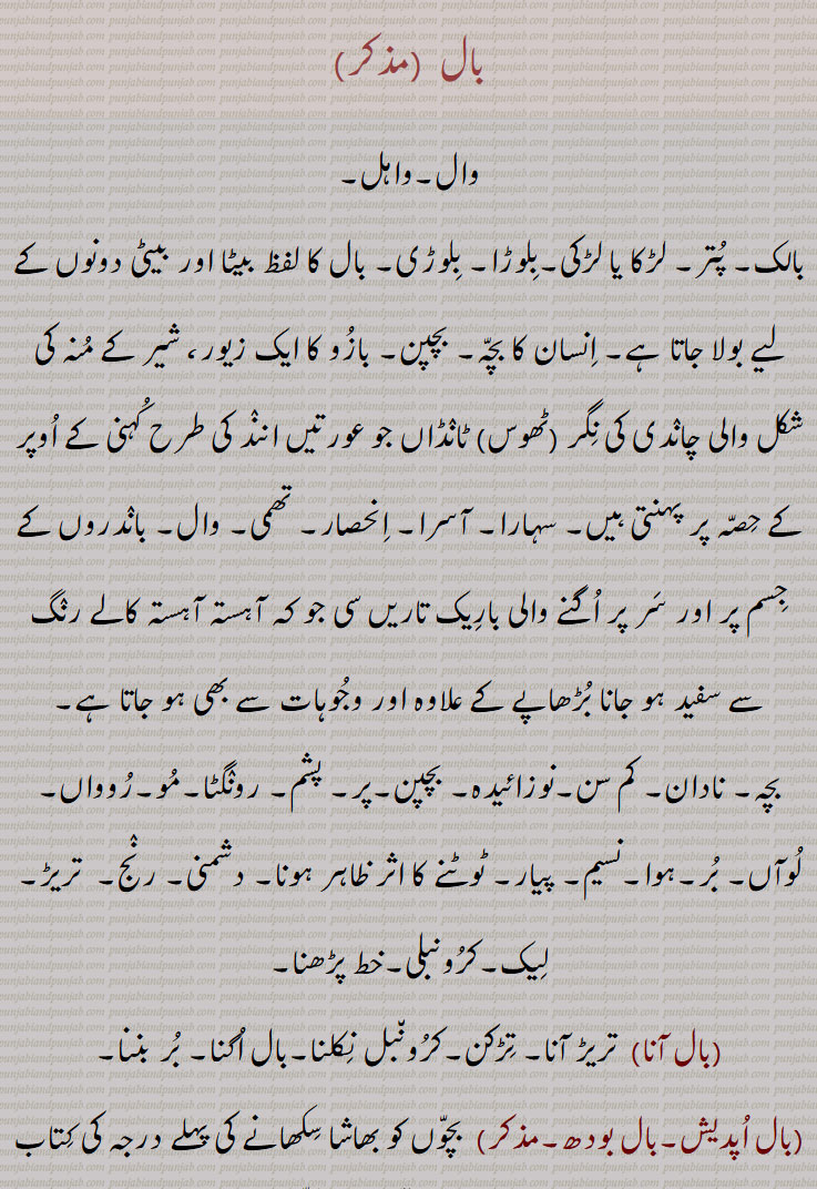 بال  , وال,واہل, بالک, پتر, لڑکا یا لڑکی,بلوڑا, بلوڑی, بال کا لفظ بیٹا اور بیٹی دونوں کے لیے بولا جاتا ہے, انسان کا بچہ, بچپن, بازو کا ایک زیور، شیر کے منہ کی شکل والی چاندی کی نگر (ٹھوس) ٹانڈاں جو عورتیں انند کی طرح کہنی کے اوپر کے حصہ پر پہنتی ہیں, سہارا, آسرا, انحصار, تھمی, وال, باندروں کے جسم پر اور سر پر اگنے والی باریک تاریں سی جو کہ آہستہ آہستہ کالے رنگ سے سفید ہو جانا بڑھاپے کے علاوہ اور وجوہات سے بھی ہو جاتا ہے,بچہ, نادان, کم سن,نوزائیدہ, بچپن,پر, پشم, رونگٹا,مو,روواں, لوآں, بر,ہوا,نسیم, پیار, ٹوٹنے کا اثر ظاہر ہونا, دشمنی, رنج,  تریڑ, لیک,کرونبلی,خط پڑھنا, بال آنا, بال اترنا,بال اکھڑنا, بال اوستھا, بال بال, بال بال بچنا, بال بال جکڑیا جانا, بال بسنت,بال بال موتی پرچنا,بال بچڑ دار,بال بچونگڑا,بال بچہ,بال بچے,بال بچڑ,بال بچے دار,بال بچوڑے,بال بدھ,بال بدھی,بال بدھوا,بال ودھوا,بال برابر,بال برابر فرق پینا,بال برہم چاری,بال بلونیاں وچ,بال بلوتڑیاں وچ,بال بنگا/ ونگا نہ ہونا,بال بنھی کندی/کوڈی مارنا,بال بنھی کنڈی مارنی,بال بھر,بال بھونری,بال بھوگ,بالپ,بال پن,بال پنا/پنا,بال تن,بال پالن,بال توڑ,بال توں باریک,بال جتی,بال جننا,بال جھڑنا,بال چر,بال چھڑ,بال خورہ,بال دار,بال دا کمبل بنانا,بال دی کھل لاہنا,بال ڈاہنا,بال ڈہنا,بال رنڈ,بال ودوا,بال رنڈیپا,بال رنڈیپن,,بال سبھائی/سبھائے,بال سٹنا,بال سٹوانا/ سٹواونا,بال سکھا,بال سکھائی,بال سہائی,بال صفا,بال کٹارا,بال کڈھوانا/کڈھواونا,بال رکشا,بال کمانی,بال کھلارن,بال گوبند,بال گوپال/گپال/ کبال,بال گہ/گہر,بال گہ,بال گھاتنی,بال لاونا/لانا/لاؤنا,بال لیلھا/لیلا,بال مت,بال مننا,بال واڑی,بال ورپس,بال وریس,بال وواہ,بال ہتیا,بال ہٹھ,بال ہٹ,بال ناتھ,بالنا,بال منگیو,
