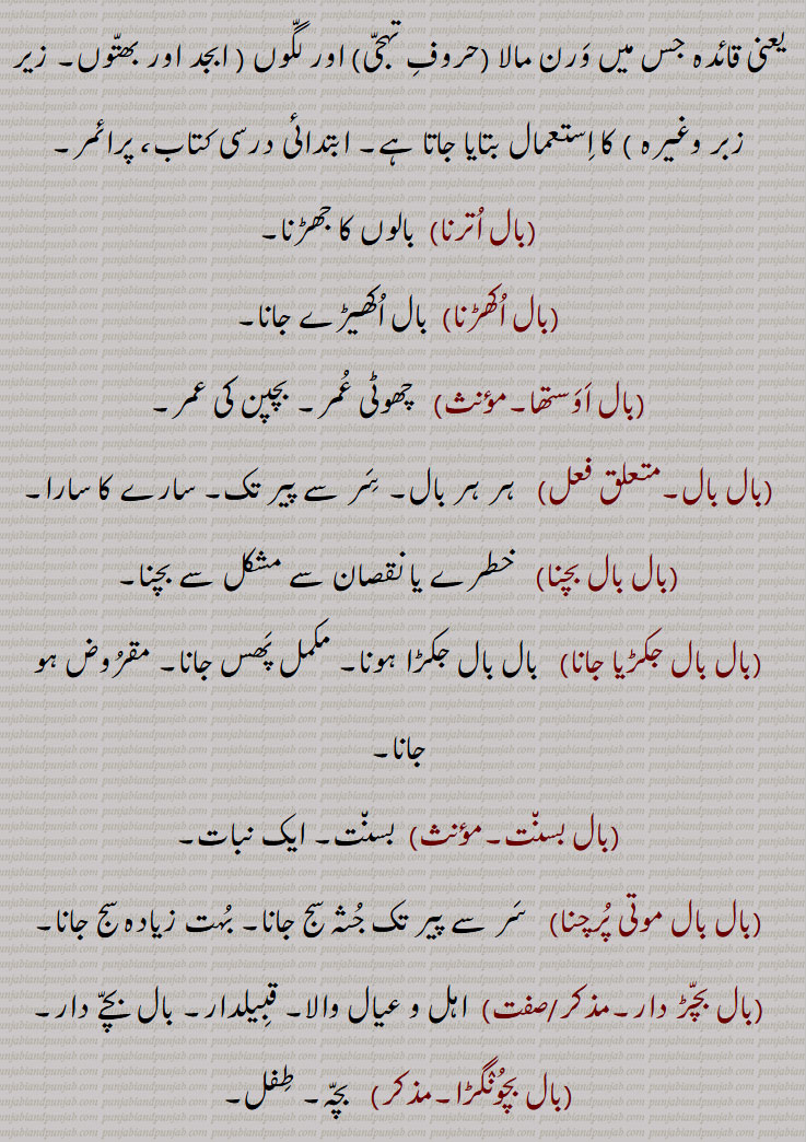 بال  , وال,واہل, بالک, پتر, لڑکا یا لڑکی,بلوڑا, بلوڑی, بال کا لفظ بیٹا اور بیٹی دونوں کے لیے بولا جاتا ہے, انسان کا بچہ, بچپن, بازو کا ایک زیور، شیر کے منہ کی شکل والی چاندی کی نگر (ٹھوس) ٹانڈاں جو عورتیں انند کی طرح کہنی کے اوپر کے حصہ پر پہنتی ہیں, سہارا, آسرا, انحصار, تھمی, وال, باندروں کے جسم پر اور سر پر اگنے والی باریک تاریں سی جو کہ آہستہ آہستہ کالے رنگ سے سفید ہو جانا بڑھاپے کے علاوہ اور وجوہات سے بھی ہو جاتا ہے,بچہ, نادان, کم سن,نوزائیدہ, بچپن,پر, پشم, رونگٹا,مو,روواں, لوآں, بر,ہوا,نسیم, پیار, ٹوٹنے کا اثر ظاہر ہونا, دشمنی, رنج,  تریڑ, لیک,کرونبلی,خط پڑھنا, بال آنا, بال اترنا,بال اکھڑنا, بال اوستھا, بال بال, بال بال بچنا, بال بال جکڑیا جانا, بال بسنت,بال بال موتی پرچنا,بال بچڑ دار,بال بچونگڑا,بال بچہ,بال بچے,بال بچڑ,بال بچے دار,بال بچوڑے,بال بدھ,بال بدھی,بال بدھوا,بال ودھوا,بال برابر,بال برابر فرق پینا,بال برہم چاری,بال بلونیاں وچ,بال بلوتڑیاں وچ,بال بنگا/ ونگا نہ ہونا,بال بنھی کندی/کوڈی مارنا,بال بنھی کنڈی مارنی,بال بھر,بال بھونری,بال بھوگ,بالپ,بال پن,بال پنا/پنا,بال تن,بال پالن,بال توڑ,بال توں باریک,بال جتی,بال جننا,بال جھڑنا,بال چر,بال چھڑ,بال خورہ,بال دار,بال دا کمبل بنانا,بال دی کھل لاہنا,بال ڈاہنا,بال ڈہنا,بال رنڈ,بال ودوا,بال رنڈیپا,بال رنڈیپن,,بال سبھائی/سبھائے,بال سٹنا,بال سٹوانا/ سٹواونا,بال سکھا,بال سکھائی,بال سہائی,بال صفا,بال کٹارا,بال کڈھوانا/کڈھواونا,بال رکشا,بال کمانی,بال کھلارن,بال گوبند,بال گوپال/گپال/ کبال,بال گہ/گہر,بال گہ,بال گھاتنی,بال لاونا/لانا/لاؤنا,بال لیلھا/لیلا,بال مت,بال مننا,بال واڑی,بال ورپس,بال وریس,بال وواہ,بال ہتیا,بال ہٹھ,بال ہٹ,بال ناتھ,بالنا,بال منگیو,