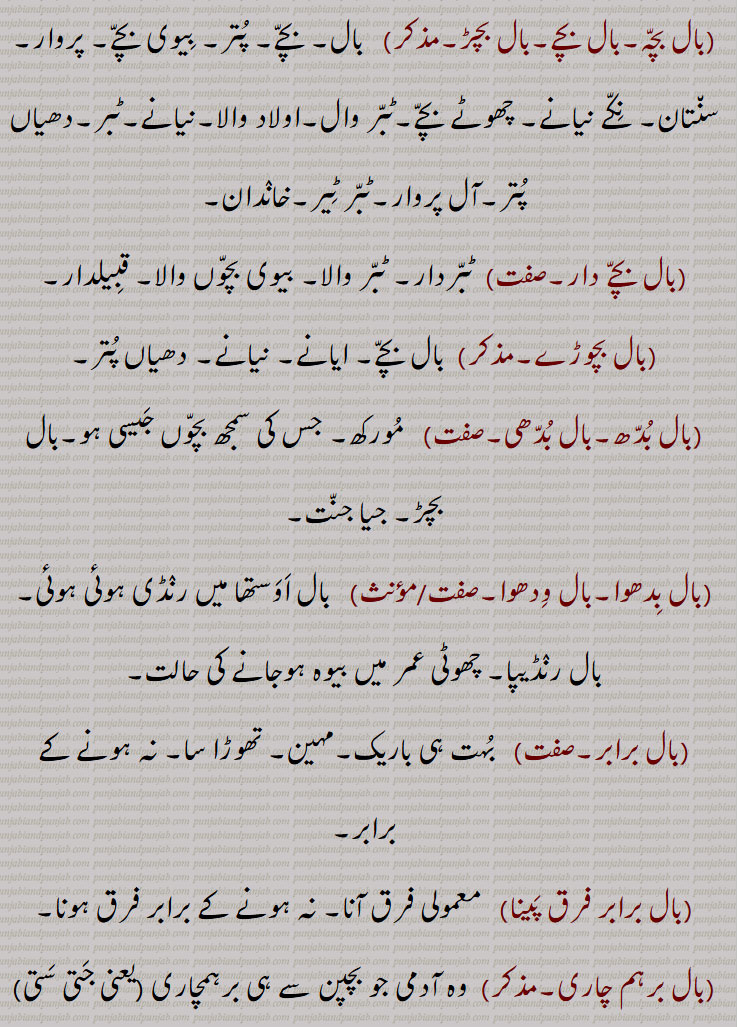 بال  , وال,واہل, بالک, پتر, لڑکا یا لڑکی,بلوڑا, بلوڑی, بال کا لفظ بیٹا اور بیٹی دونوں کے لیے بولا جاتا ہے, انسان کا بچہ, بچپن, بازو کا ایک زیور، شیر کے منہ کی شکل والی چاندی کی نگر (ٹھوس) ٹانڈاں جو عورتیں انند کی طرح کہنی کے اوپر کے حصہ پر پہنتی ہیں, سہارا, آسرا, انحصار, تھمی, وال, باندروں کے جسم پر اور سر پر اگنے والی باریک تاریں سی جو کہ آہستہ آہستہ کالے رنگ سے سفید ہو جانا بڑھاپے کے علاوہ اور وجوہات سے بھی ہو جاتا ہے,بچہ, نادان, کم سن,نوزائیدہ, بچپن,پر, پشم, رونگٹا,مو,روواں, لوآں, بر,ہوا,نسیم, پیار, ٹوٹنے کا اثر ظاہر ہونا, دشمنی, رنج,  تریڑ, لیک,کرونبلی,خط پڑھنا, بال آنا, بال اترنا,بال اکھڑنا, بال اوستھا, بال بال, بال بال بچنا, بال بال جکڑیا جانا, بال بسنت,بال بال موتی پرچنا,بال بچڑ دار,بال بچونگڑا,بال بچہ,بال بچے,بال بچڑ,بال بچے دار,بال بچوڑے,بال بدھ,بال بدھی,بال بدھوا,بال ودھوا,بال برابر,بال برابر فرق پینا,بال برہم چاری,بال بلونیاں وچ,بال بلوتڑیاں وچ,بال بنگا/ ونگا نہ ہونا,بال بنھی کندی/کوڈی مارنا,بال بنھی کنڈی مارنی,بال بھر,بال بھونری,بال بھوگ,بالپ,بال پن,بال پنا/پنا,بال تن,بال پالن,بال توڑ,بال توں باریک,بال جتی,بال جننا,بال جھڑنا,بال چر,بال چھڑ,بال خورہ,بال دار,بال دا کمبل بنانا,بال دی کھل لاہنا,بال ڈاہنا,بال ڈہنا,بال رنڈ,بال ودوا,بال رنڈیپا,بال رنڈیپن,,بال سبھائی/سبھائے,بال سٹنا,بال سٹوانا/ سٹواونا,بال سکھا,بال سکھائی,بال سہائی,بال صفا,بال کٹارا,بال کڈھوانا/کڈھواونا,بال رکشا,بال کمانی,بال کھلارن,بال گوبند,بال گوپال/گپال/ کبال,بال گہ/گہر,بال گہ,بال گھاتنی,بال لاونا/لانا/لاؤنا,بال لیلھا/لیلا,بال مت,بال مننا,بال واڑی,بال ورپس,بال وریس,بال وواہ,بال ہتیا,بال ہٹھ,بال ہٹ,بال ناتھ,بالنا,بال منگیو,