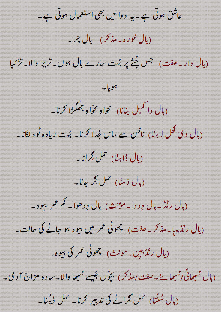 Child, infant, young one, offspring; ball, hair; a crack in a cup, glass, or earthenware; a prop, a support, a dependence; wind, breeze, ,baal bannhi kandi maarni, baal biNga na hona, baal launa, baal toR, baal awastha,baal bachche, baal bhog, baal buddh, baal buddhi, baal gopaal, baalpan, baalpuna, baal raND, baal widwa, baal awastha, baalapan, balapuna, ball bachcha, baal bachedaar, baal bodh, baall wares, baal waaRi, baal jatti, baal janana, baal Dahana, baal satana, baaal saTwaawana, Bal kaDhwaawana, baal raksha, baal, 